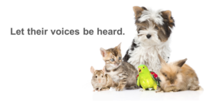 Animal Communication with Furkids